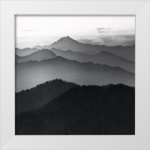 Cascades White Modern Wood Framed Art Print by Delimont, Danita