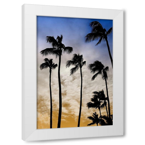 Evenings Edge II White Modern Wood Framed Art Print by Carpentieri, Natalie