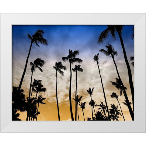 Evenings Edge White Modern Wood Framed Art Print by Carpentieri, Natalie