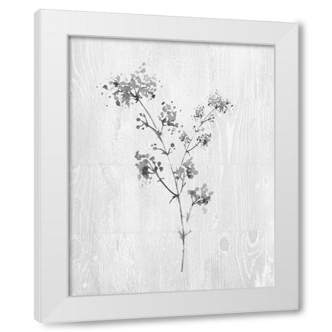 Neutral Meadow I White Modern Wood Framed Art Print by Knutsen, Conrad