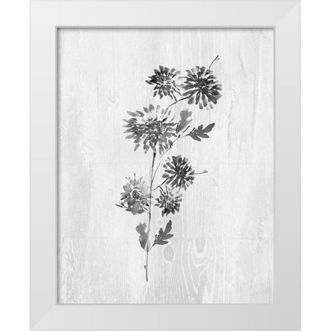 Neutral Meadow II White Modern Wood Framed Art Print by Knutsen, Conrad