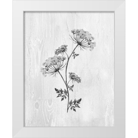 Neutral Meadow III White Modern Wood Framed Art Print by Knutsen, Conrad