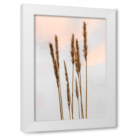 Sunset Pond I White Modern Wood Framed Art Print by Jones, Adam