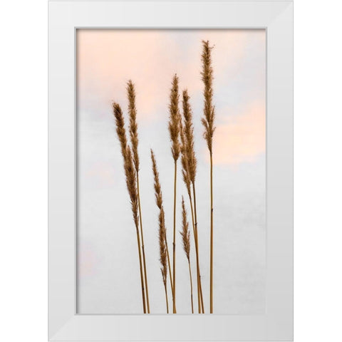 Sunset Pond I White Modern Wood Framed Art Print by Jones, Adam