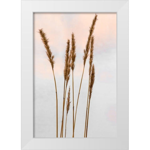 Sunset Pond II White Modern Wood Framed Art Print by Jones, Adam