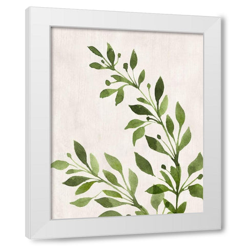 Botanical Wash I White Modern Wood Framed Art Print by Knutsen, Conrad