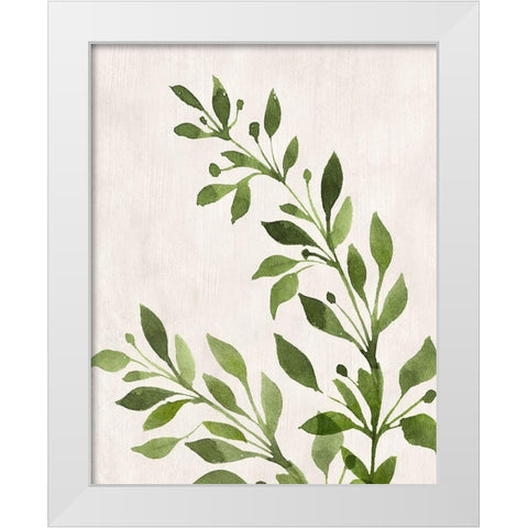 Botanical Wash I White Modern Wood Framed Art Print by Knutsen, Conrad