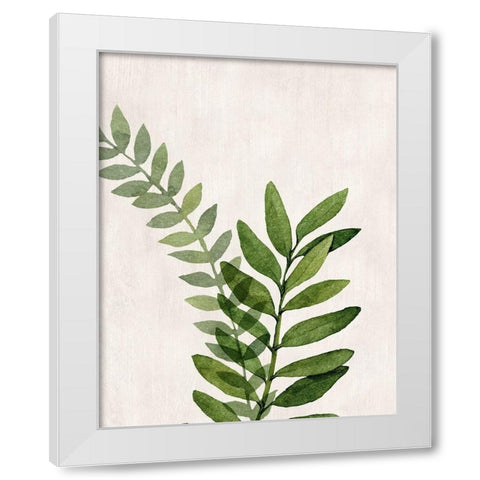 Botanical Wash II White Modern Wood Framed Art Print by Knutsen, Conrad