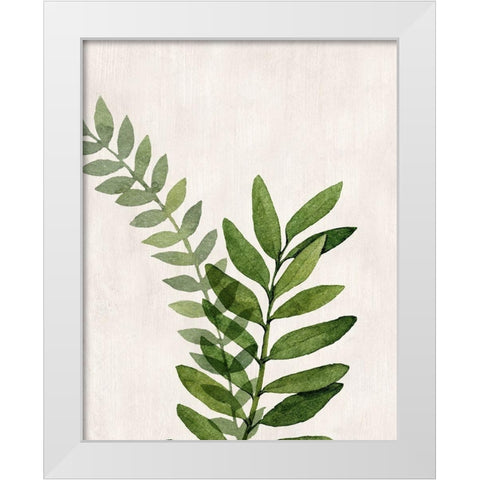 Botanical Wash II White Modern Wood Framed Art Print by Knutsen, Conrad
