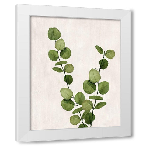 Botanical Wash III White Modern Wood Framed Art Print by Knutsen, Conrad