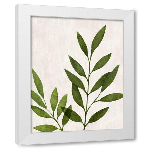 Botanical Wash IV White Modern Wood Framed Art Print by Knutsen, Conrad