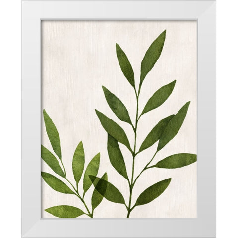 Botanical Wash IV White Modern Wood Framed Art Print by Knutsen, Conrad