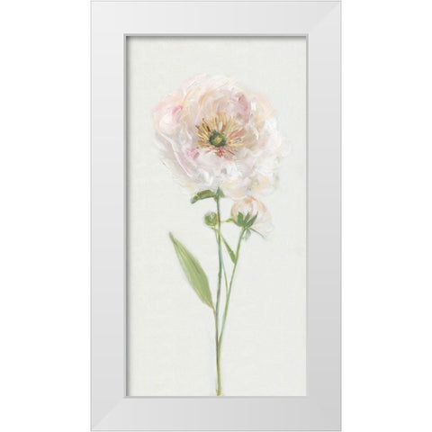 Single Stem Peony II White Modern Wood Framed Art Print by Swatland, Sally