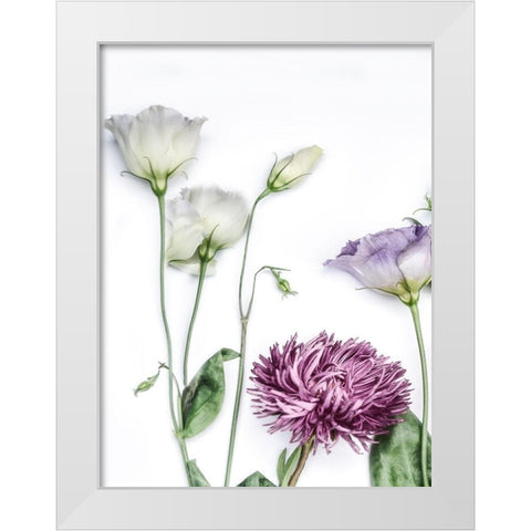 Moderne Jardin II White Modern Wood Framed Art Print by Weisz, Irene