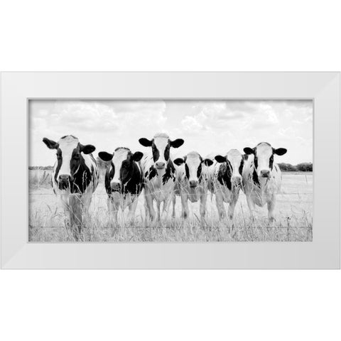 Grazing Pasture White Modern Wood Framed Art Print by Van de Goor, Lars