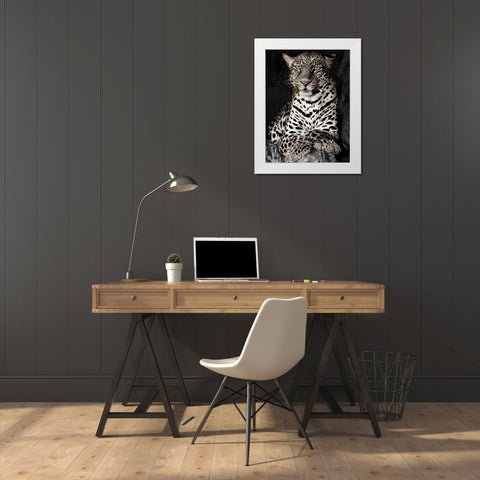 African Leopard White Modern Wood Framed Art Print by Jaynes, William D.