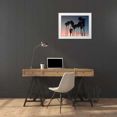 Venice Beach White Modern Wood Framed Art Print by Carpentieri, Natalie