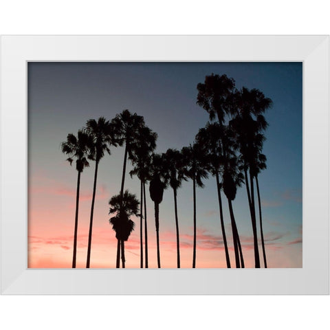 Venice Beach White Modern Wood Framed Art Print by Carpentieri, Natalie
