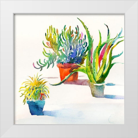 Succulent Trio II White Modern Wood Framed Art Print by Troise Heidel, Theresa