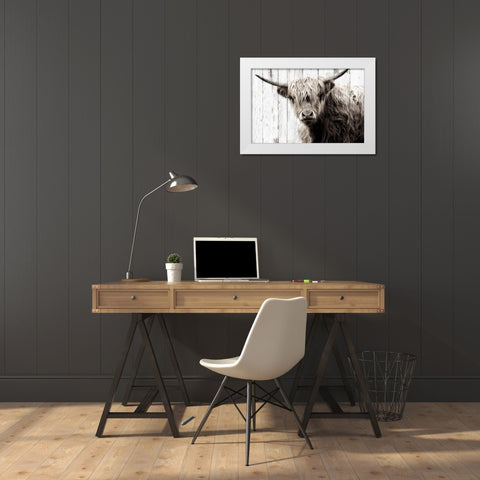 Highland Prize White Modern Wood Framed Art Print by Sturdevant, Jay