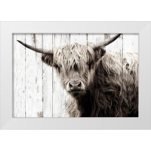 Highland Prize White Modern Wood Framed Art Print by Sturdevant, Jay