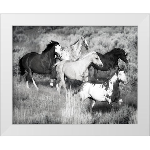 Prairie Run White Modern Wood Framed Art Print by Jaynes, William D.