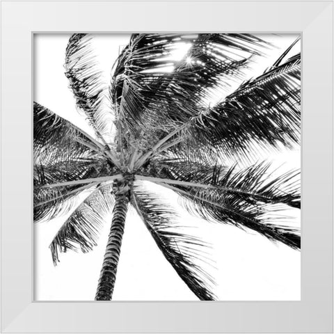 Tropic Breeze White Modern Wood Framed Art Print by Carpentieri, Natalie