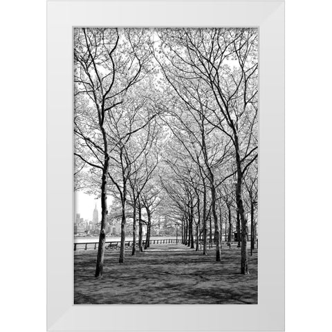Pier a Park White Modern Wood Framed Art Print by Carpentieri, Natalie