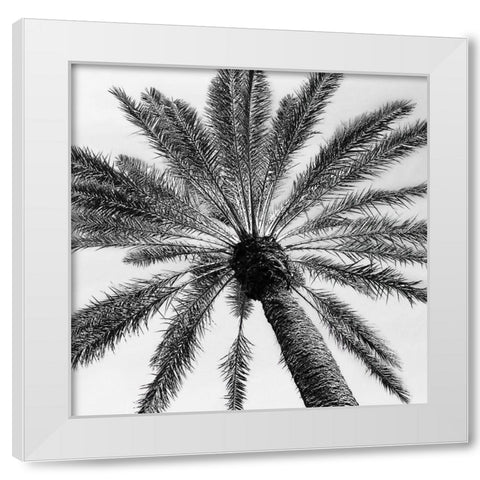 Skyward Palm White Modern Wood Framed Art Print by Pease, Susan
