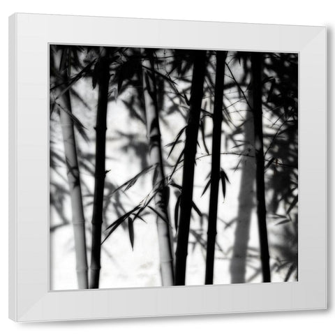 Bamboo Shadows White Modern Wood Framed Art Print by Delimont, Danita