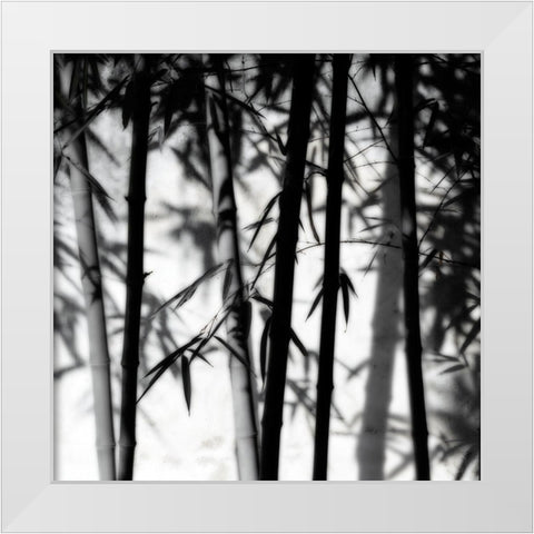 Bamboo Shadows White Modern Wood Framed Art Print by Delimont, Danita