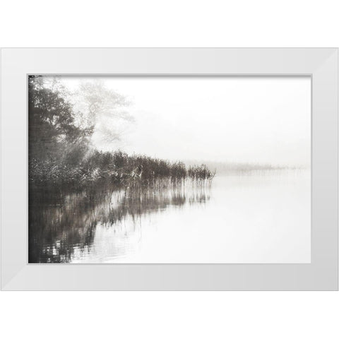 Taupe Misty White Modern Wood Framed Art Print by Weisz, Irene