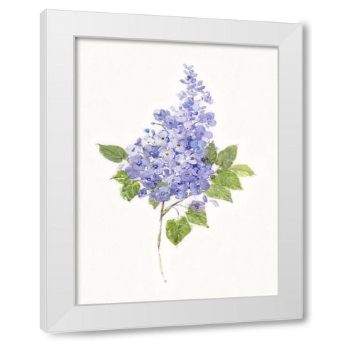 Dainty Botanical Lilac White Modern Wood Framed Art Print by Swatland, Sally