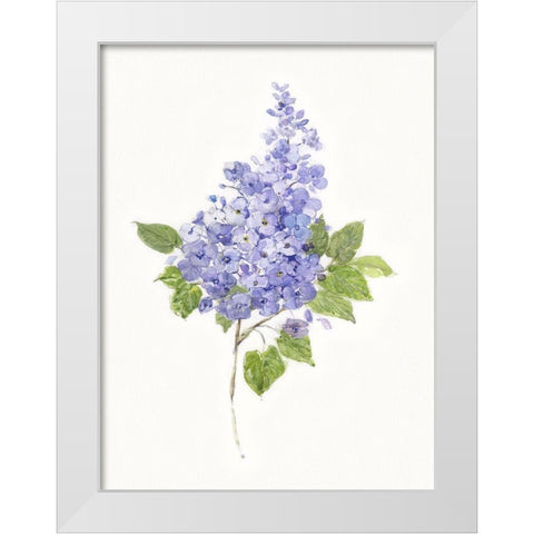 Dainty Botanical Lilac White Modern Wood Framed Art Print by Swatland, Sally