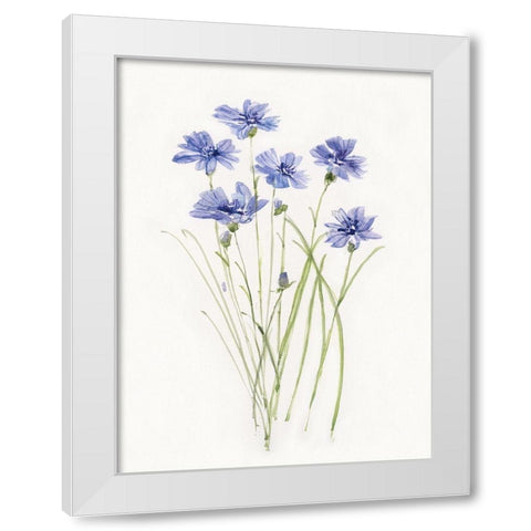 Dainty Botanical Cornflower White Modern Wood Framed Art Print by Swatland, Sally