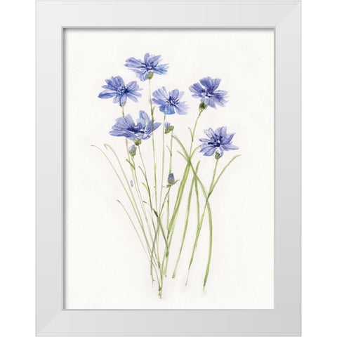 Dainty Botanical Cornflower White Modern Wood Framed Art Print by Swatland, Sally