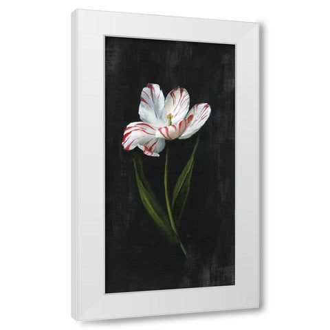 Master Botanical I White Modern Wood Framed Art Print by Nan