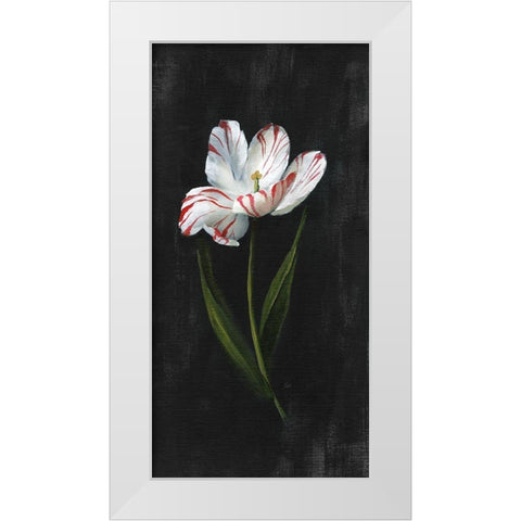 Master Botanical I White Modern Wood Framed Art Print by Nan