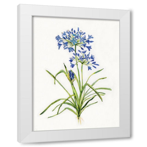 Blue Lively Botanical I White Modern Wood Framed Art Print by Swatland, Sally