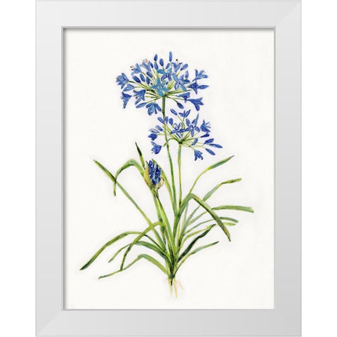 Blue Lively Botanical I White Modern Wood Framed Art Print by Swatland, Sally