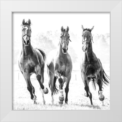 Running Herd White Modern Wood Framed Art Print by Van de Goor, Lars