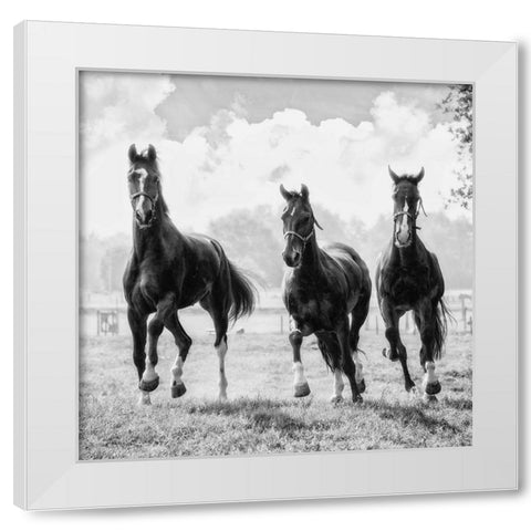 Three of a Kind White Modern Wood Framed Art Print by Van de Goor, Lars
