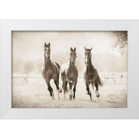 The Young Ones White Modern Wood Framed Art Print by Van de Goor, Lars