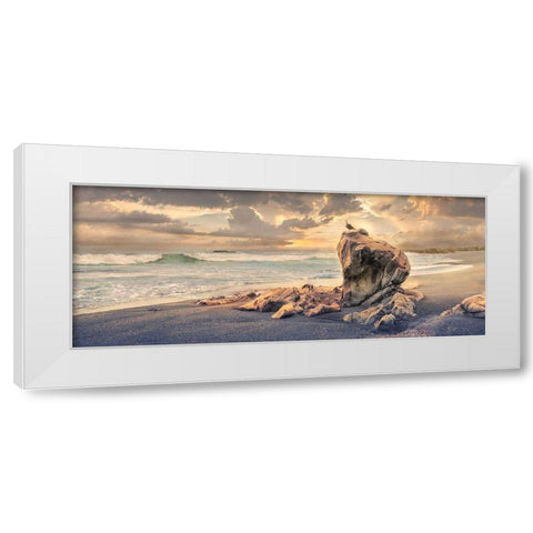 Grand Perch White Modern Wood Framed Art Print by Calascibetta, Mike
