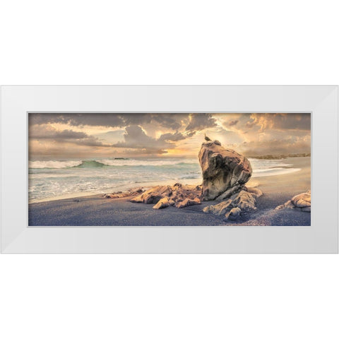 Grand Perch White Modern Wood Framed Art Print by Calascibetta, Mike