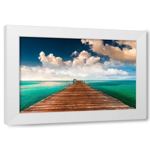 Tropic Blues White Modern Wood Framed Art Print by Calascibetta, Mike