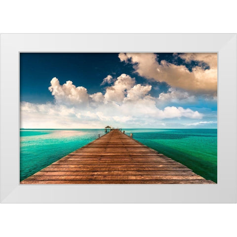 Tropic Blues White Modern Wood Framed Art Print by Calascibetta, Mike