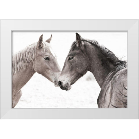 Gentle Herd White Modern Wood Framed Art Print by Jaynes, William D.