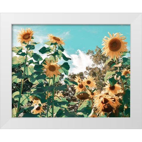 Sunflower Field White Modern Wood Framed Art Print by Carpentieri, Natalie