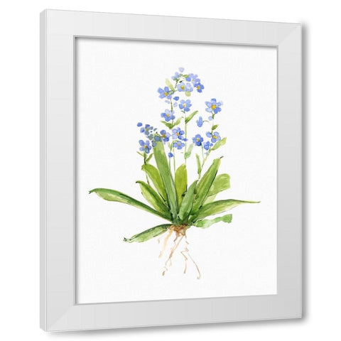 Garden Botanical II White Modern Wood Framed Art Print by Swatland, Sally